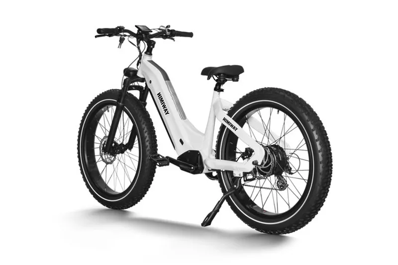 Himiway Zebra D5 Step Thru Fat Tyre Ebike-2